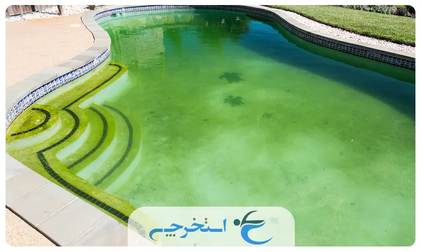 از بین بردن جلبک استخر